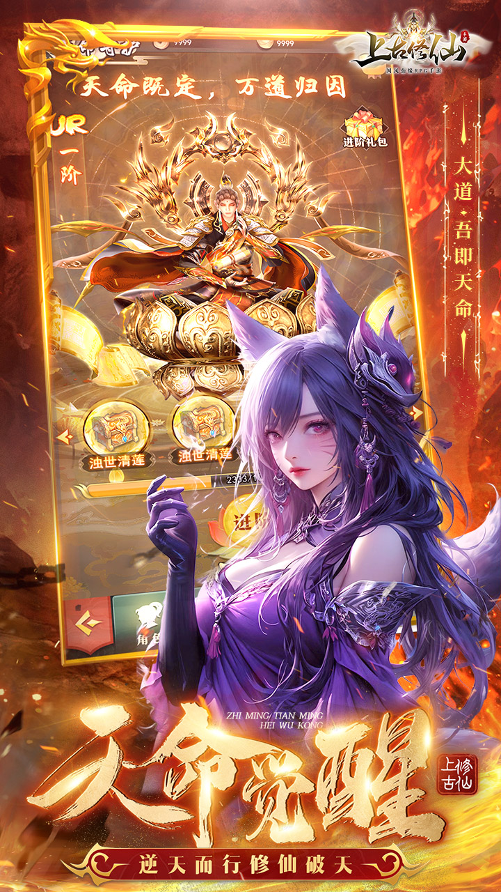 https://api.d5918.cn/static/uploads/20250709130746431.png