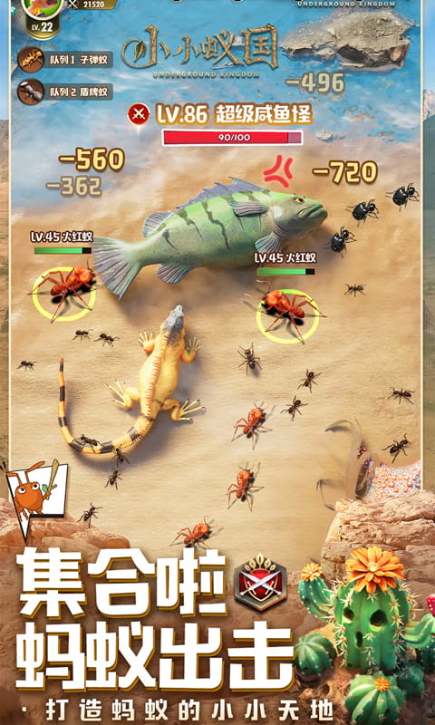https://api.d5918.cn/static/uploads/20250729164904918.png