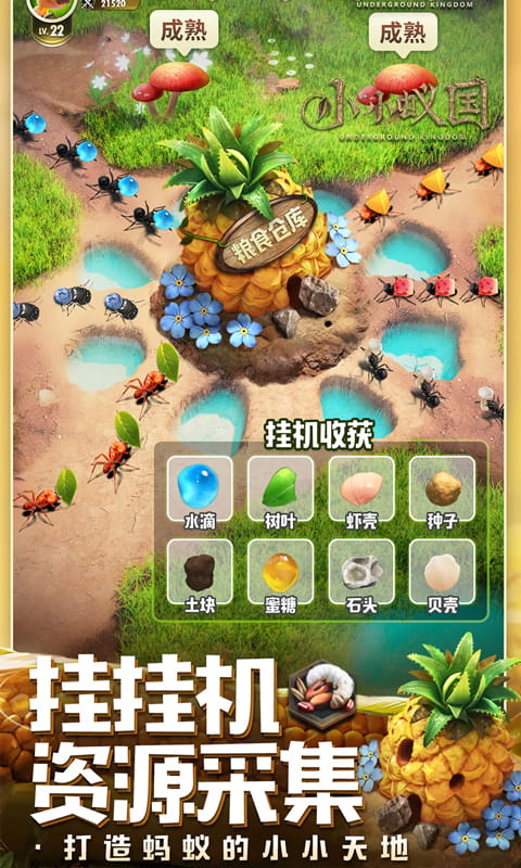 https://api.d5918.cn/static/uploads/20250729164905775.png